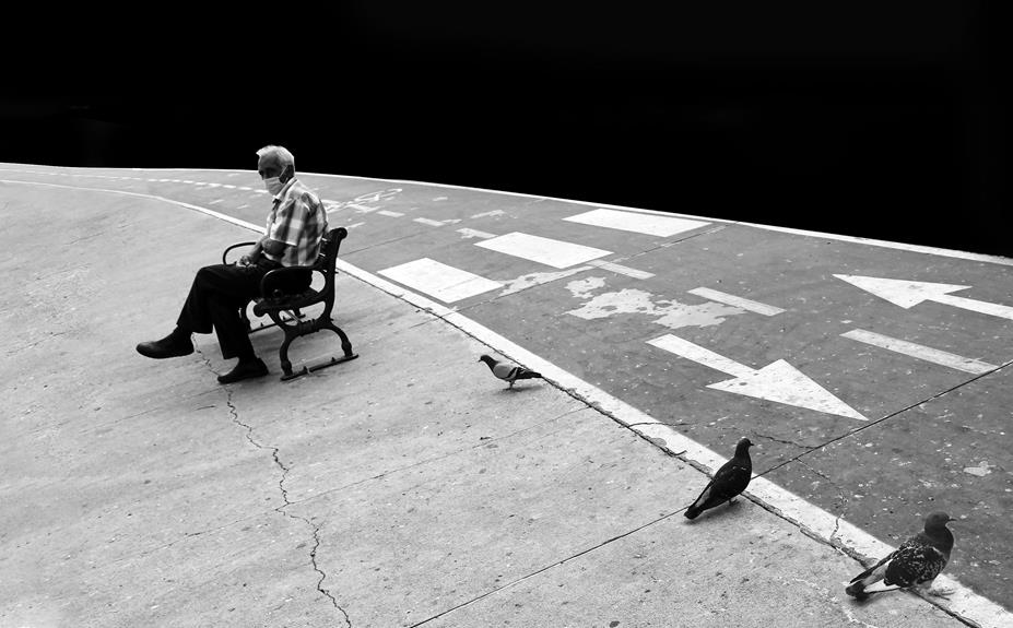 bird safety with preen