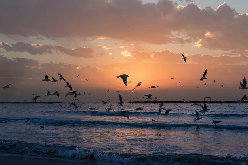 birdwatching in coastal texas