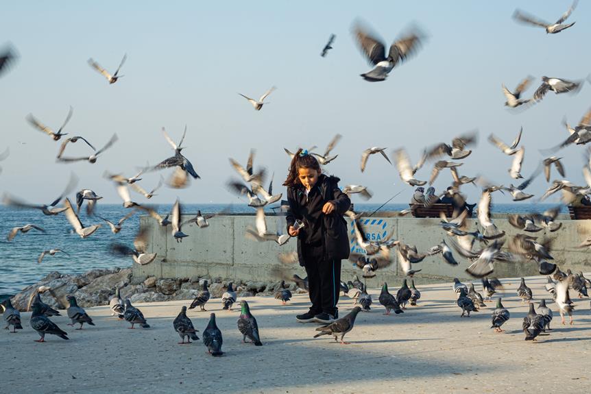 building a bird sanctuary