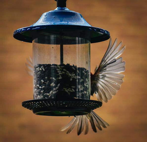 Best Bird Feeders For Cardinals