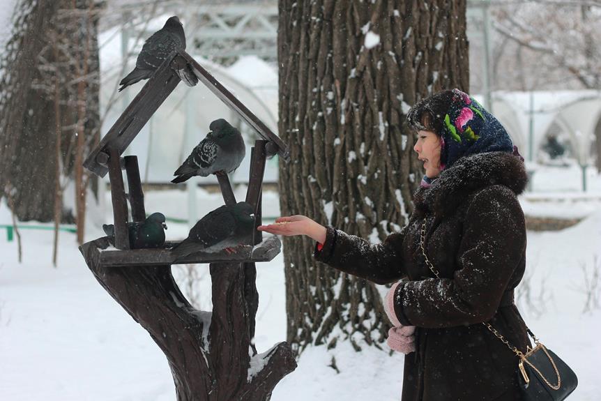 feeding birds in winter
