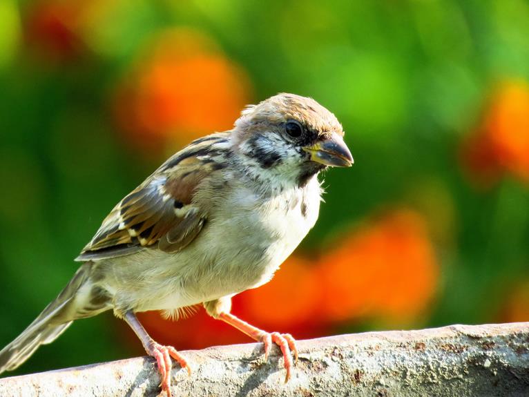 nature lovers grab this