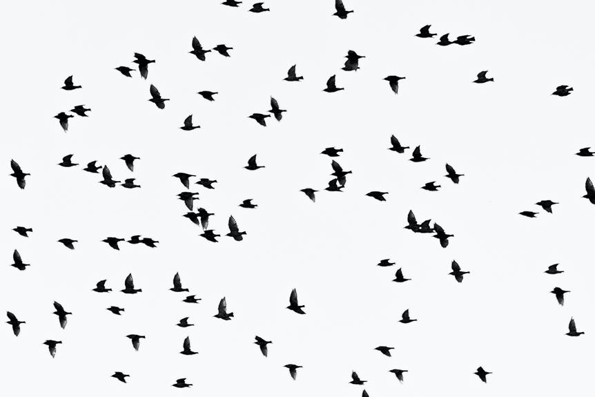 unique red winged birds